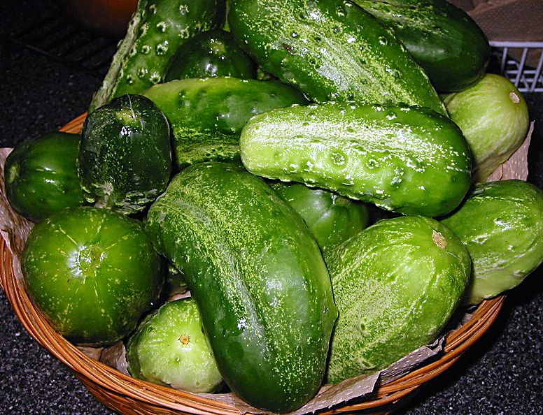 cucumbers