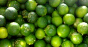 Calamansi Production - Franchise, Business and Entrepreneur