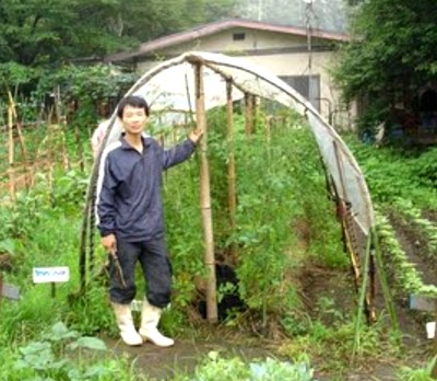 greenhouse bamboo low cost entrepreneur pinoyentre mar nov comment updated posted